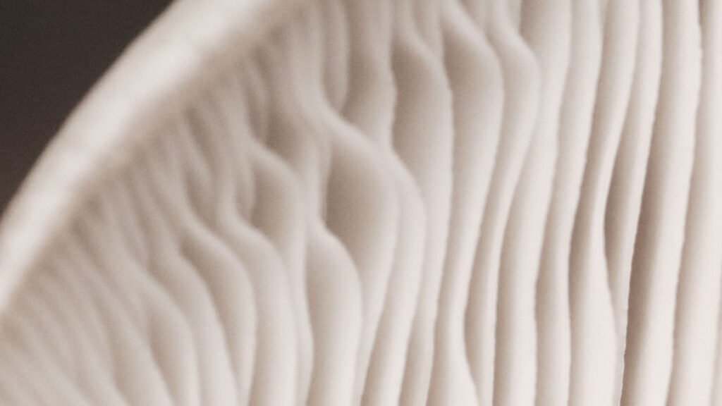 Ämiir Naboulsi jatkaa Tekirissä vanhempana viestintäkonsulttina