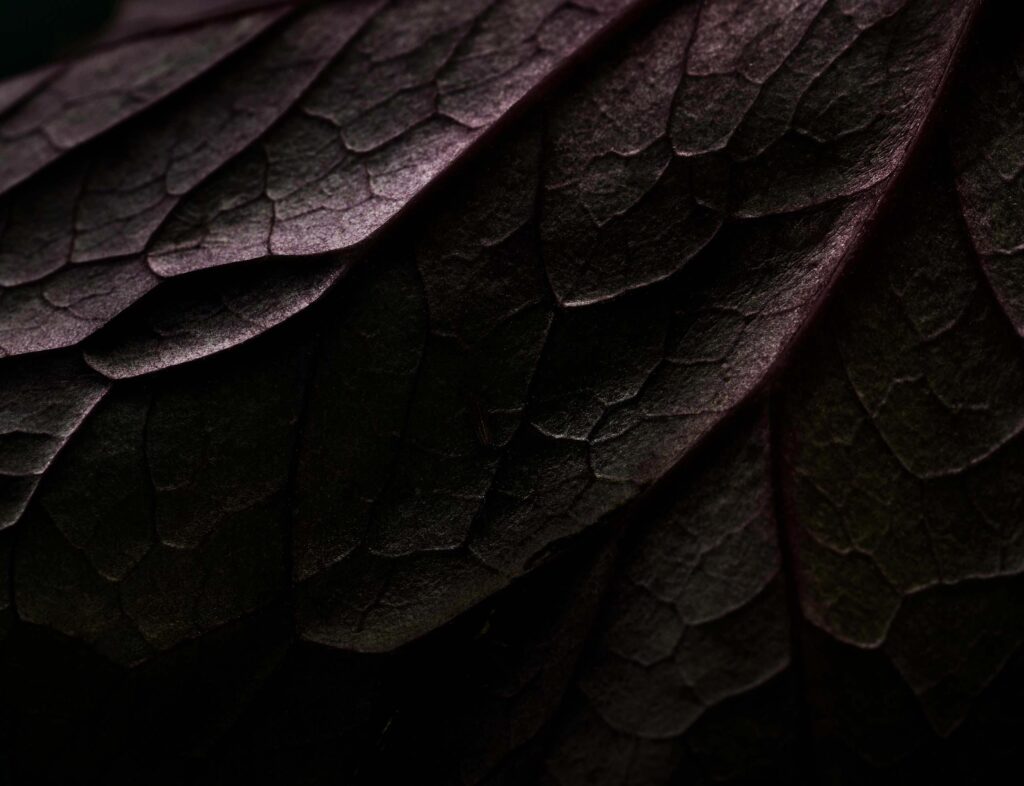 Tekirin asiakas kertoo, miltä tuntuu olla kriisin keskellä – ”Veri alkaa tuoksua kuin muinoin Colosseumilla”